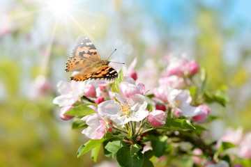 Frühling 446 © K.-U. Häßler