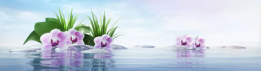 Foto auf Glas Orchideen mit Steinen im See - sonnige Stimmung © peterschreiber.media