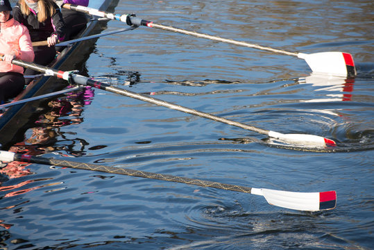 Ladies 8 rowing team with blades dipping into river Avon