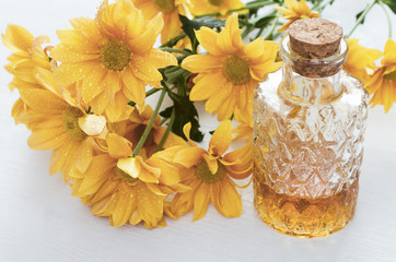Fototapeta na wymiar Chrysanthemum daisy flower essential oil tincture bottle on the white wooden table background. Herbal medicine.