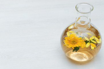Chrysanthemum daisy flower essential oil tincture bottle on the white wooden table background with copy space. Herbal medicine.