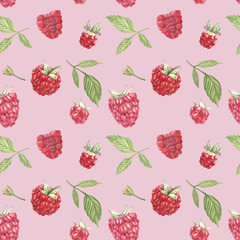 Hand drawn watercolor painting raspberry on white background. Botanical illustration. Seamless pattern