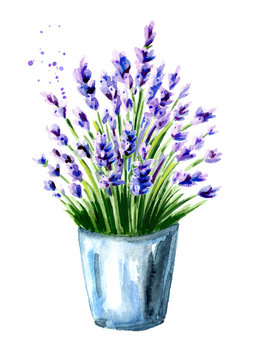 Lavender bouquet in a bucket