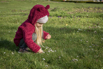 Little girl collecting flowers on first spring day