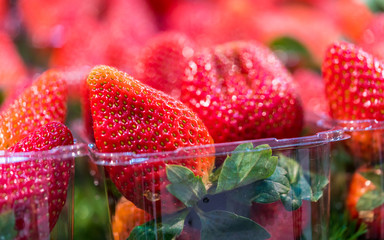 Delicious Fresh Strawberry