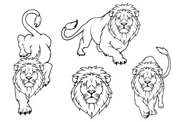 Fototapeta premium Set of Lion logo.Vector animal lion.King Lion isolated on white background.