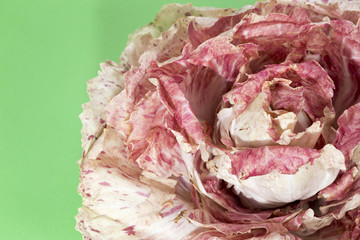 Radicchio Castelfranco italian decorative lettuce on green background.