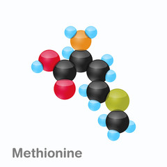 Molecule of Methionine, Met, an amino acid used in the biosynthesis of proteins