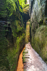 Walkway through rocky gorge, Adrspach - Teplice rocks, Czech republic, Europe.