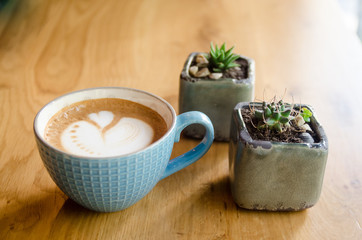 Coffee with baby cactus