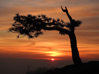 Sequoia National Park © Adam