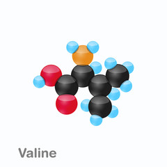 Molecule of Valine, Val, an amino acid used in the biosynthesis of proteins