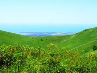 Fototapeta na wymiar Summer green meadow in the mountains. Beautiful sea view landscape, tourism. Fresh wild green rural meadows on a sunny day with blue cloudless clear sky. Scenery view ocean