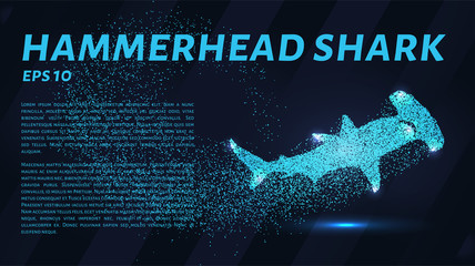 The hammerhead shark from the particles. Fish hammer consists of small circles. - obrazy, fototapety, plakaty