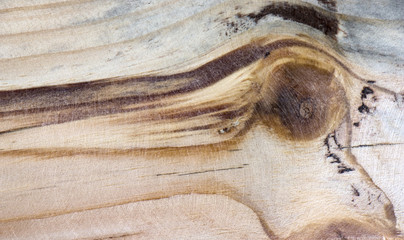 Colorful wood texture for background