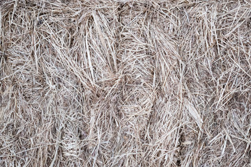 Textures and backgrounds for graphics