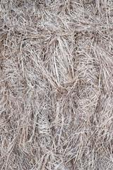 Textures and backgrounds for graphics