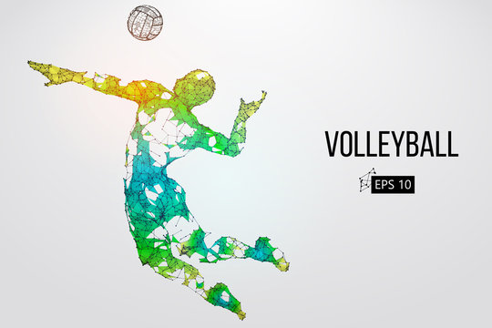 Silhouette of volleyball player. Vector illustration.