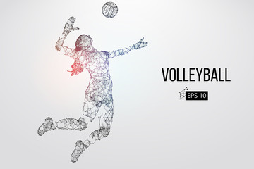 Silhouette of volleyball player. Vector illustration.