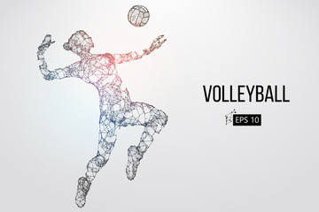 Silhouette of volleyball player. Vector illustration.