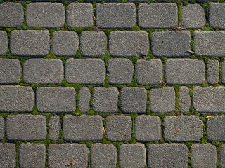 Paving stones and paving slabs with grass