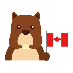 beaver with canadian flag vector illustration design
