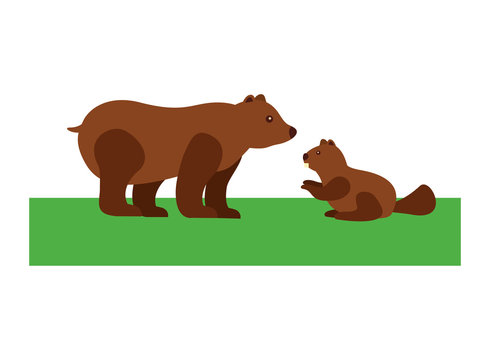 grizzly bear and beaver vector illustration design