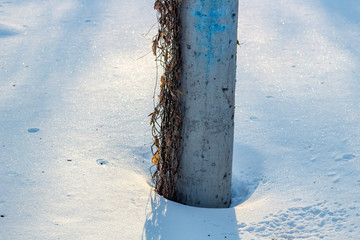 Electric pole in the snow on a sunny day
