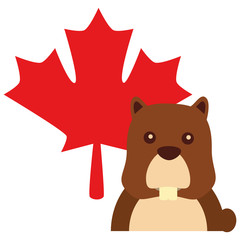 beaver with maple leaf vector illustration design