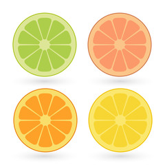 Vector set of lemon, orange, lime, grapefruit slices isolated on white background.