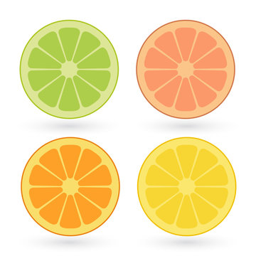 Vector set of lemon, orange, lime, grapefruit slices isolated on white background.