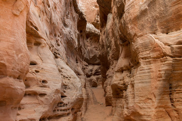 Valley of Fire 58