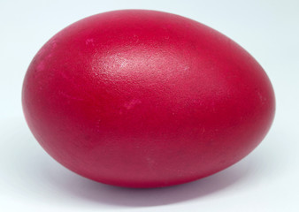 Theme Easter. Close-up of a duck egg in red.