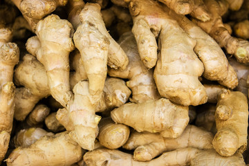 Fresh horseradish root in the store