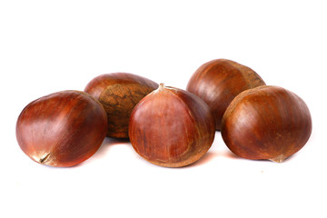 Chestnuts with shell isolated on white background, a pile of fresh chestnuts