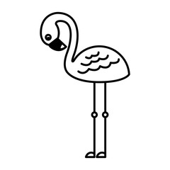 cute flamingo tropical bird icon vector illustration black and white