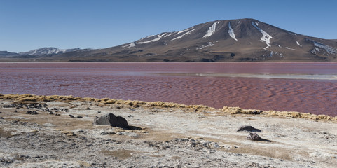 The Red Lake, or Laguna Colorada, on the Altiplano near Uyuni inside Eduardo Avaroa National Reserve in Bolivia at 4300 m above sea level. The red color is caused by sediments and algae.