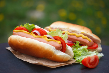 Delicious homemade hot dogs on picnic. Served with tomato, onion and lettuce.
