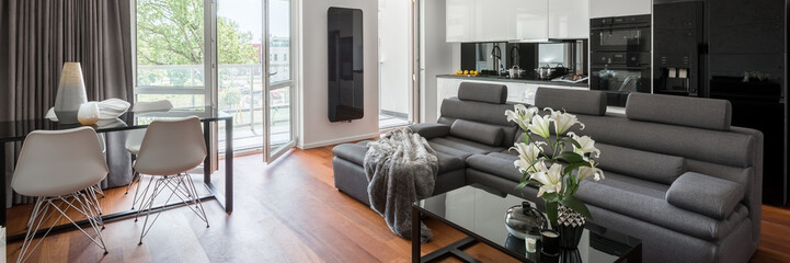 Living room with gray sofa