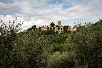 Motovun on the croatian istrian hills