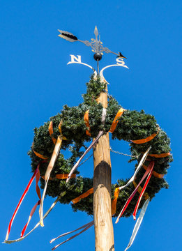 Maibaum im Fr&uuml;hling