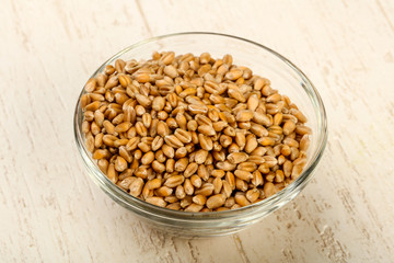 Wheat grains
