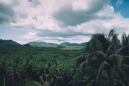 Siargao typical landscape, stunning nature and surf paradise spot in the Philippines