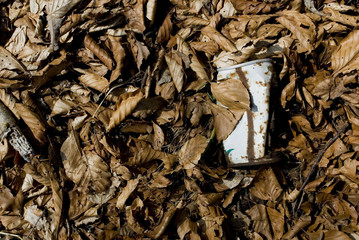 forest pollution: can abandoned, on dry leaves, aluminum corroded, rusty, brown, white, due to weather conditions, garbage of nature and environment, recycle, climate change, spring, winter, Italy