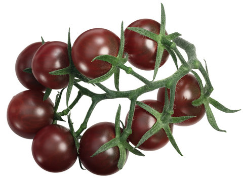 Tondo Nero tomatoes cluster tov, top, paths