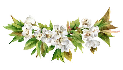 Isolated flowering branch