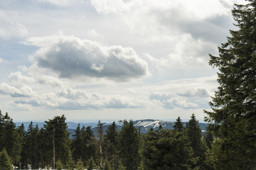 The forest on the hiking trail from Schierke to Brocken mountain / Harz mountains, Saxony-Anhalt, Germany