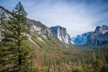 Obraz premium Tunnel View Yosemite National Park 