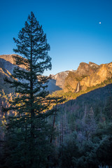 Tunnel View Moonlight Yosemite National Park 