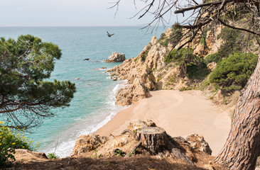 Coast Brave (Costa Brava) - Girona (Spain)
